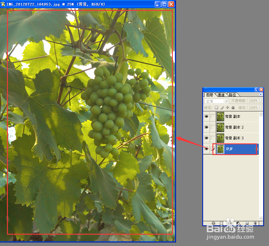 用PS复制背景图层的6种方法