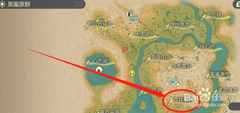 宝可梦阿尔宙斯皮卡丘哪里能抓