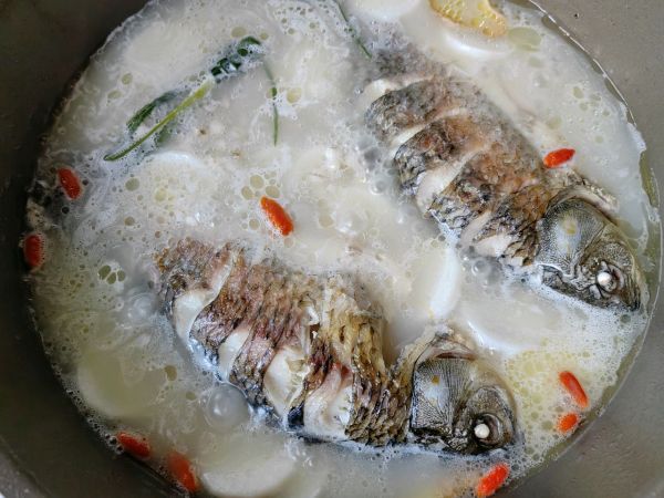 薏米山药鲫鱼汤