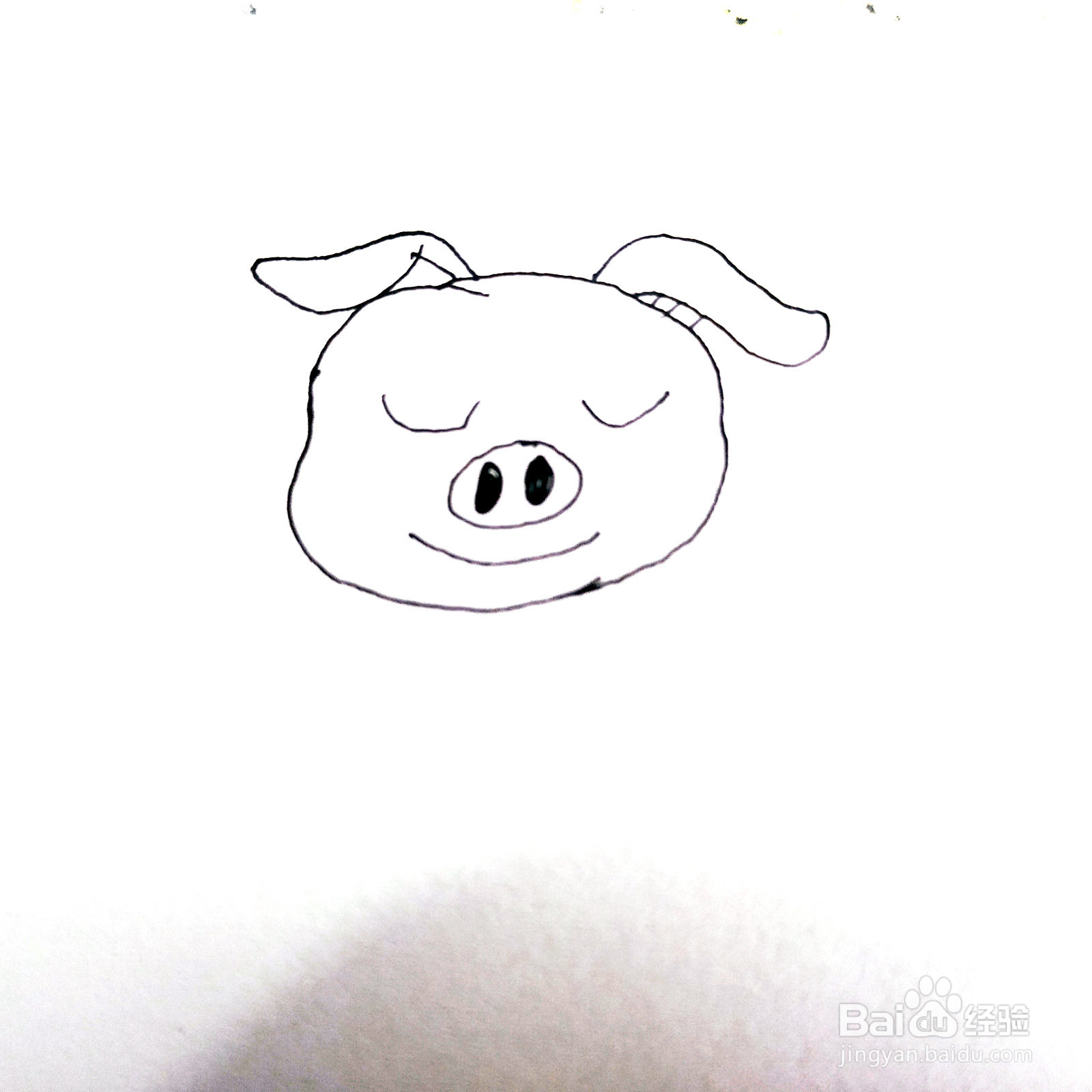 如何来画一只卡通睡觉的小懒猪简笔画呢