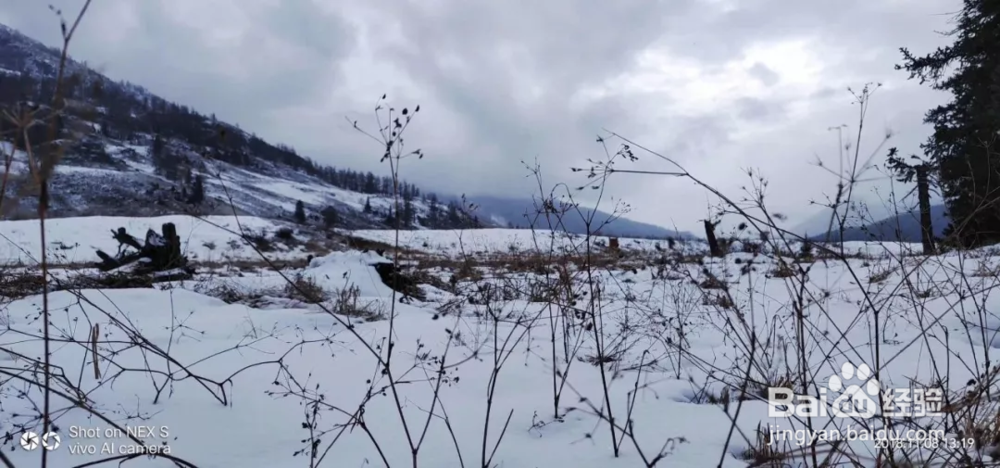 喀纳斯冬季五天旅行指南