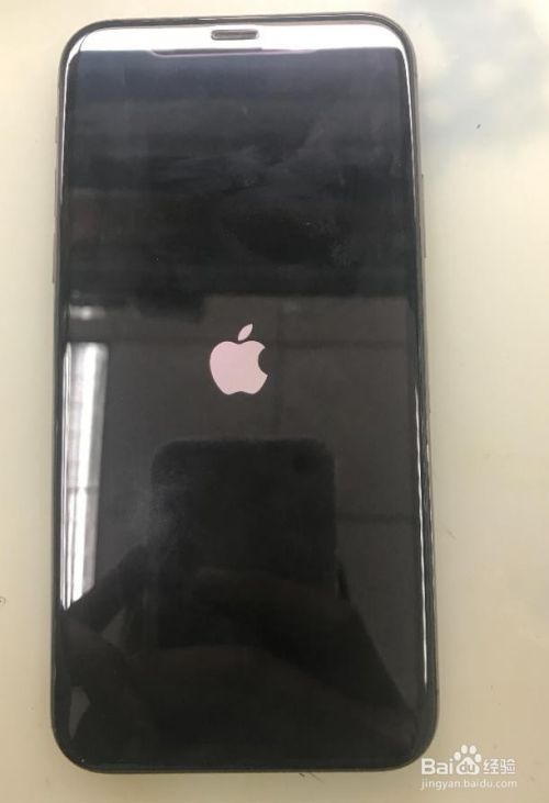 Iphone X进水后开机卡白苹果怎么办 百度经验