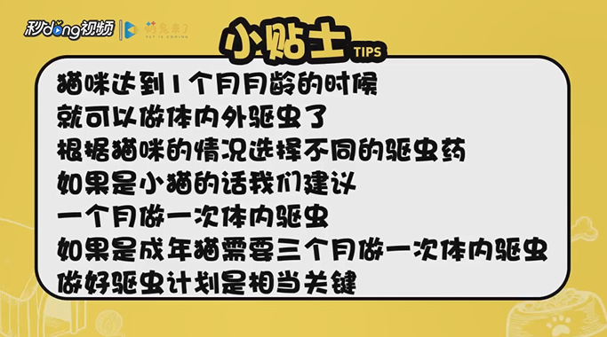 猫咪怎么驱虫？