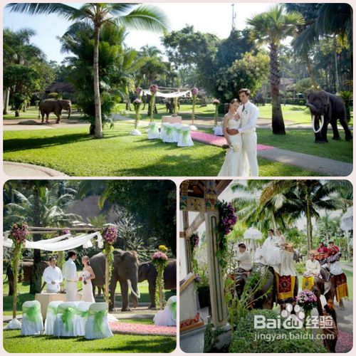 十一月去哪里旅游好？请考虑到巴厘岛