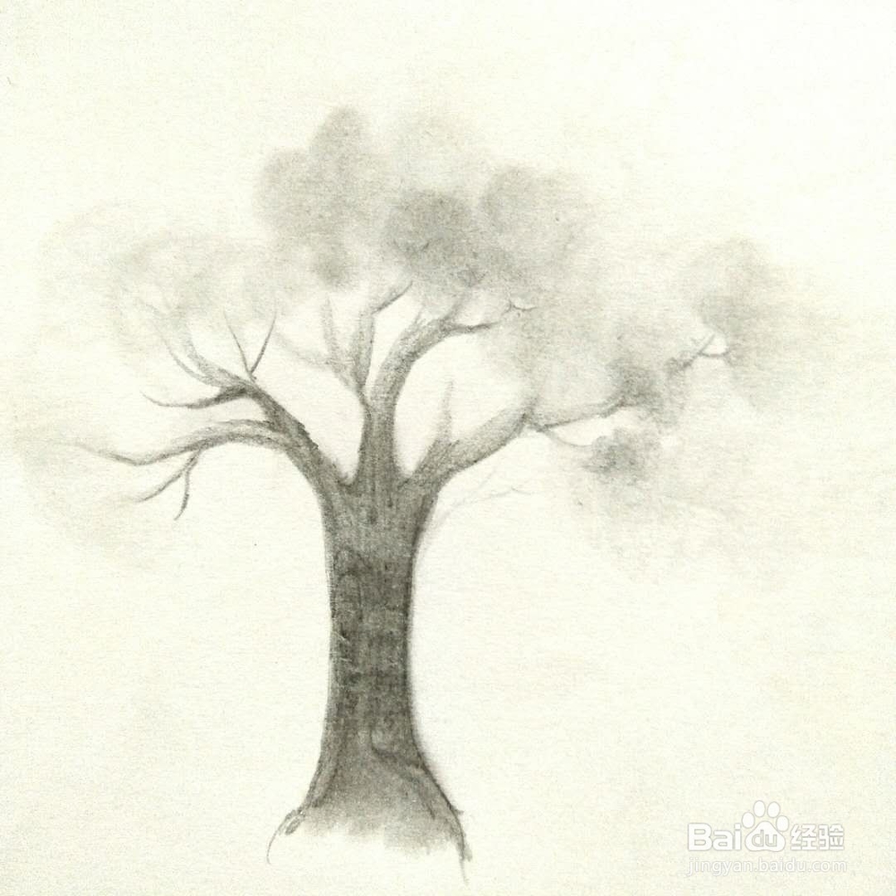 怎样画一颗树？
