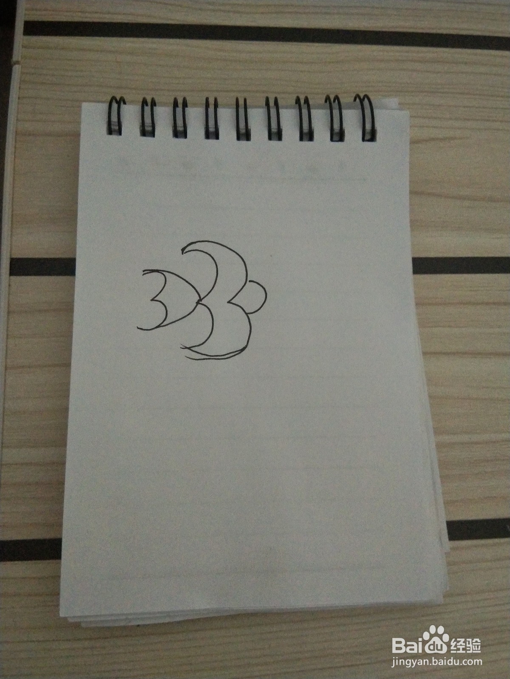 燕子的简笔画这样画