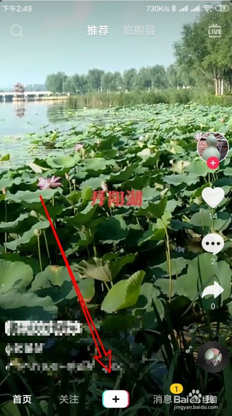 抖音上一个猪头特效在哪里