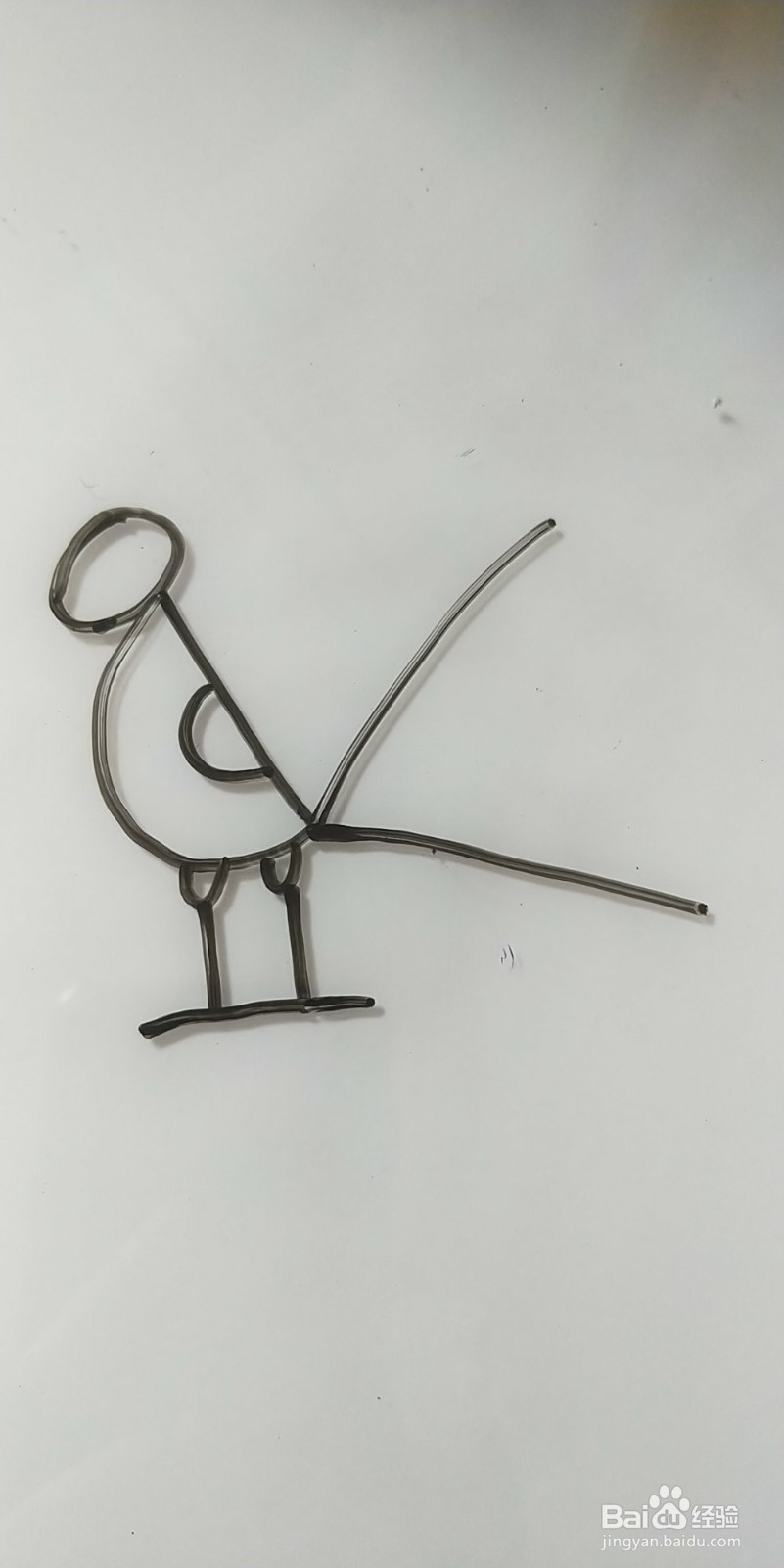 怎么画简笔画孔雀？