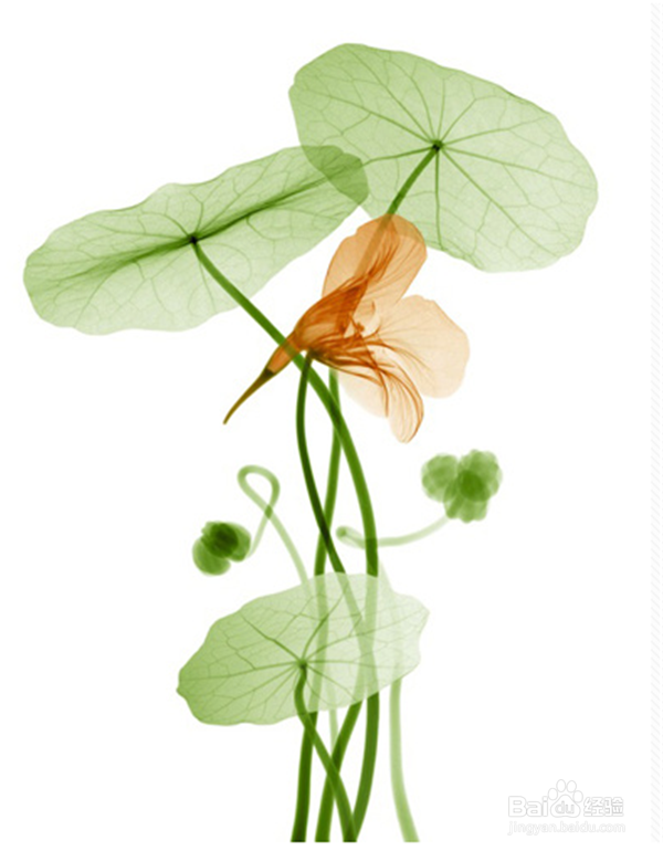 如何与陌生人打交道？