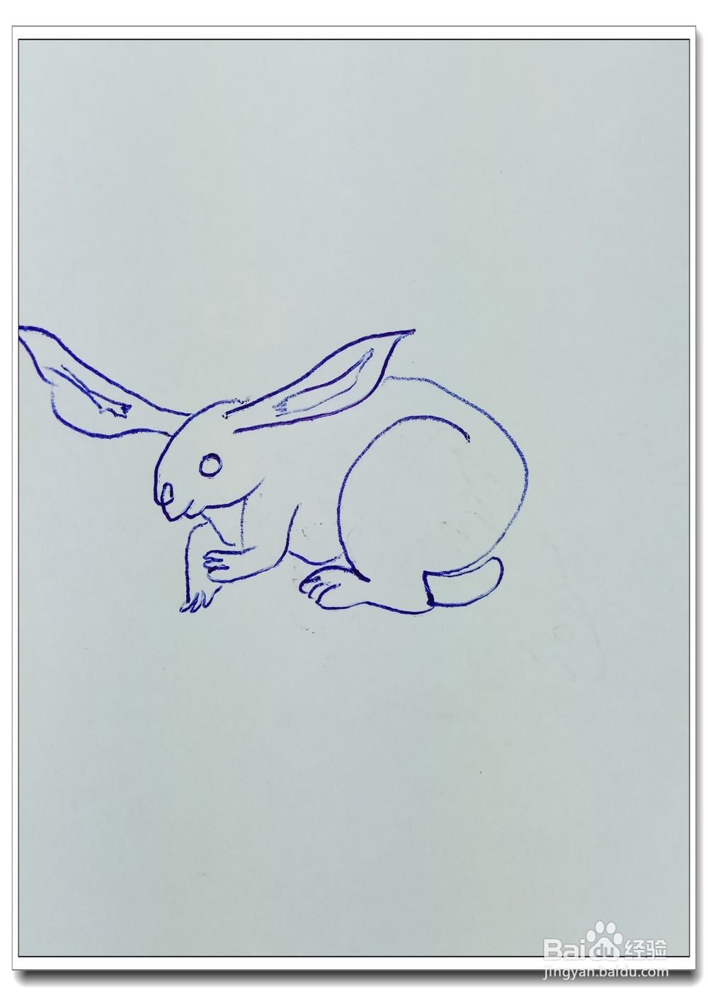 怎样画简笔画“可爱的小白兔”?