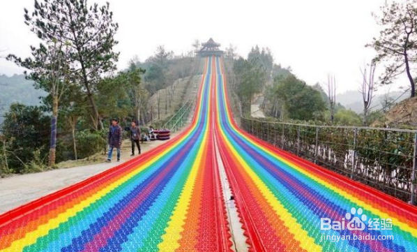 咸宁崇阳柃蜜小镇游玩攻略