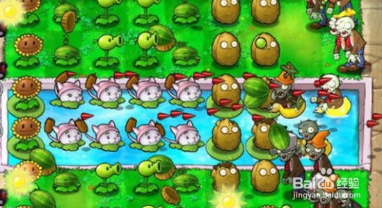 植物大战僵尸泳池无尽版攻略
