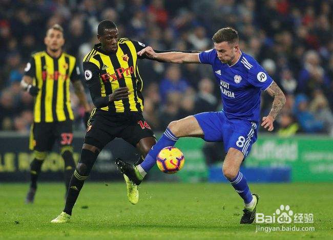 韦博体育手机端怎么看直播