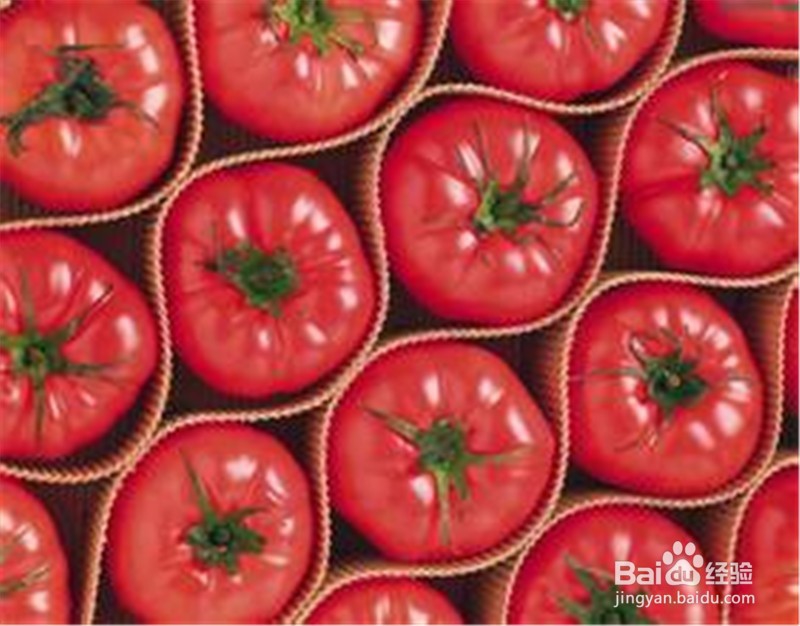 常服维生素C能治疗感冒吗?