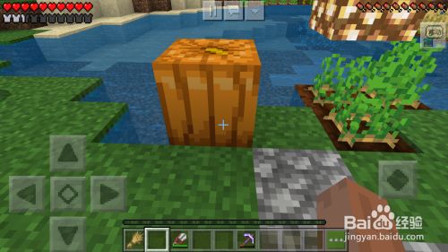 我的世界如何雕刻南瓜 百度经验