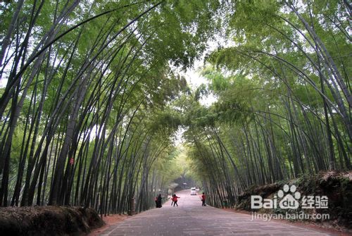 南尖岩景区旅游攻略