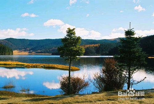 香格里拉两日之旅 探索自然的玄妙