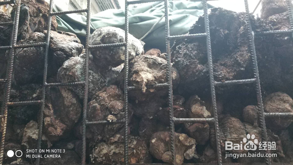 空气源热泵烘干机于茯苓烘干的应用