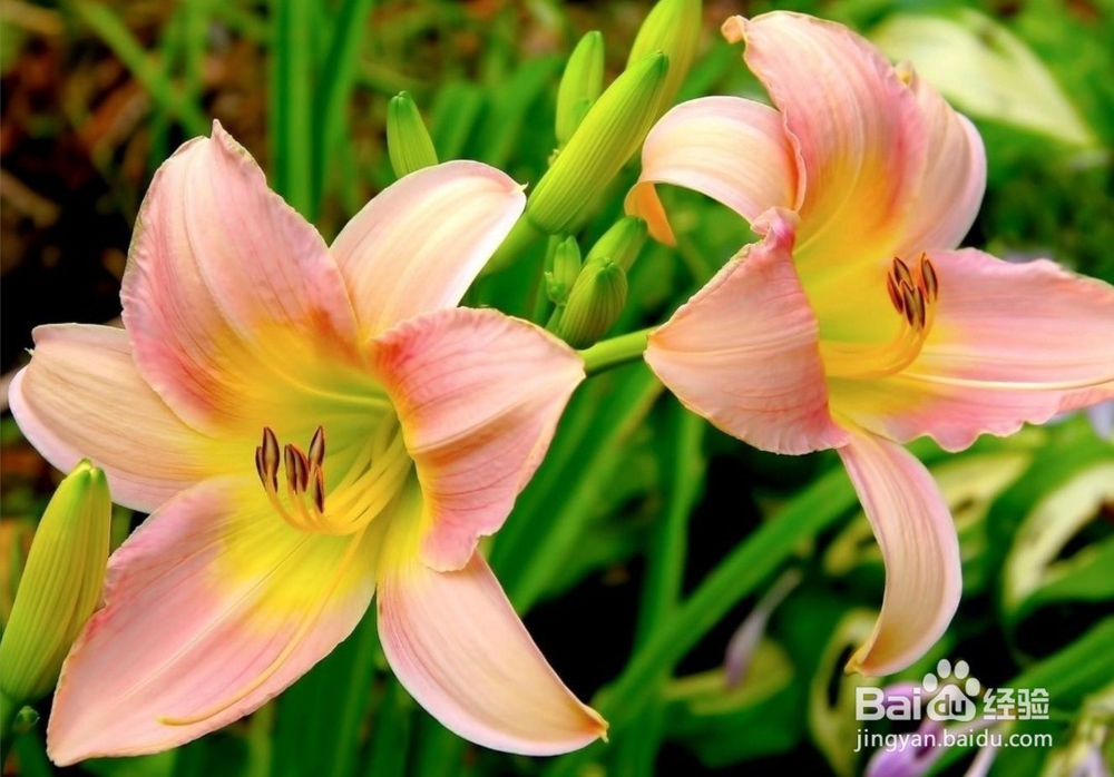 冬天来了，怎么补身体呢？