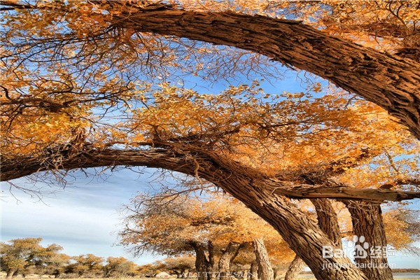 中国最佳旅行时间表攻略—你的下半年都被包了