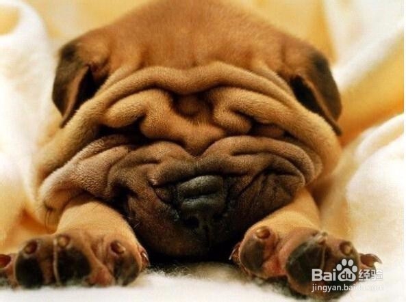 光棍节脱单终极指南《独孤九剑》