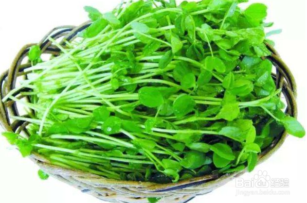 气血不足导致的全身乏力怎么办