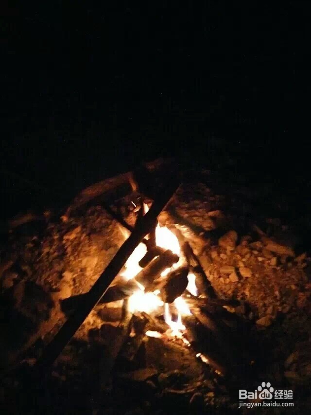 江西省马头山原始森林指南