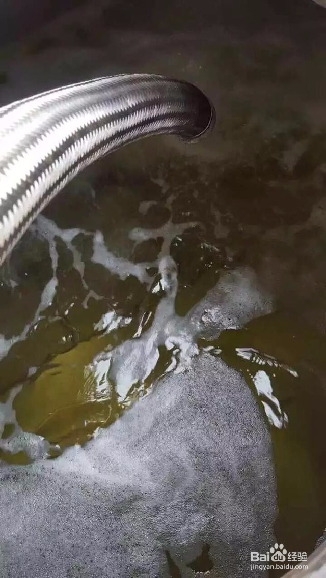 请远离那瓶“很黄很暴力”的发霉陈年老酒！
