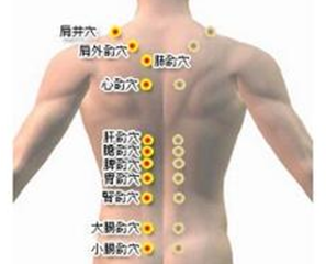 通过按摩什么穴位来调理脾胃