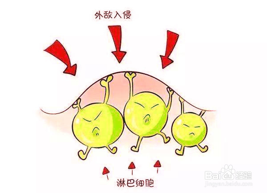 外伤伤口感染及处理