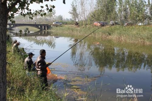 野钓中那些鱼有毒还有硬刺