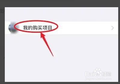 苹果手机如何进入我的购买项目