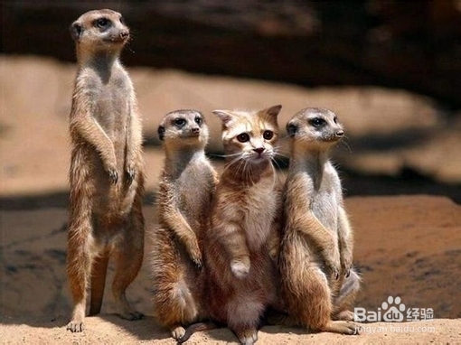 应届生从职业规划角度寻求“找工作”突破点