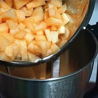 分享圣洛雪哈密瓜椰奶火龙果冰棒做法
