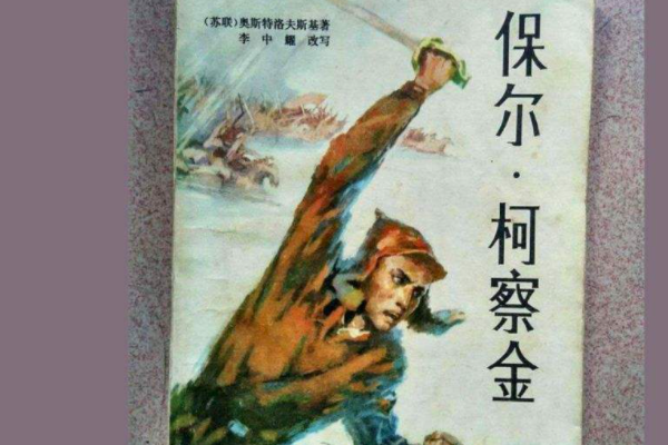 保尔的哥哥阿尔焦姆把保尔拿回来的枪拆解并扔掉的原因是什么