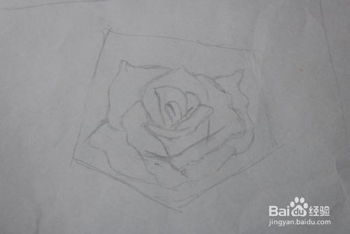 简单的玫瑰的画法