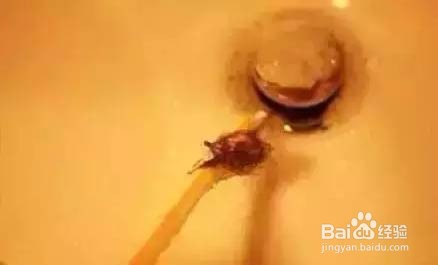 这才是吸管的正确打开方式