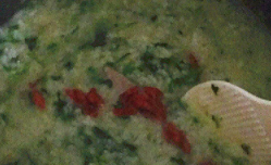 枸杞菠菜猪肝粥