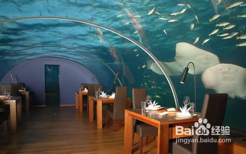 马尔代夫旅游有哪些著名的旅游岛