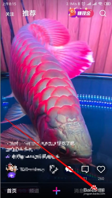 微视如何接收关注的人发表新作品的通知消息