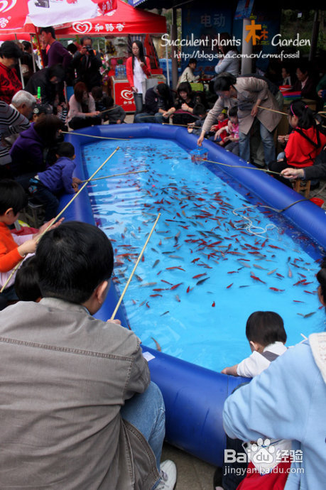 上海植物园（上）