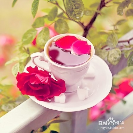 怎么正确饮用茶膏