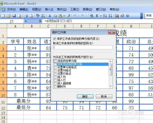 Excel工作表的保护与安全设定