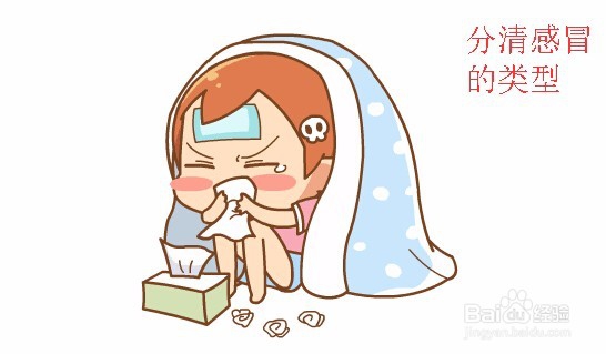 夏季，感冒了怎么办？