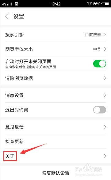 更快浏览器怎么查看版本信息