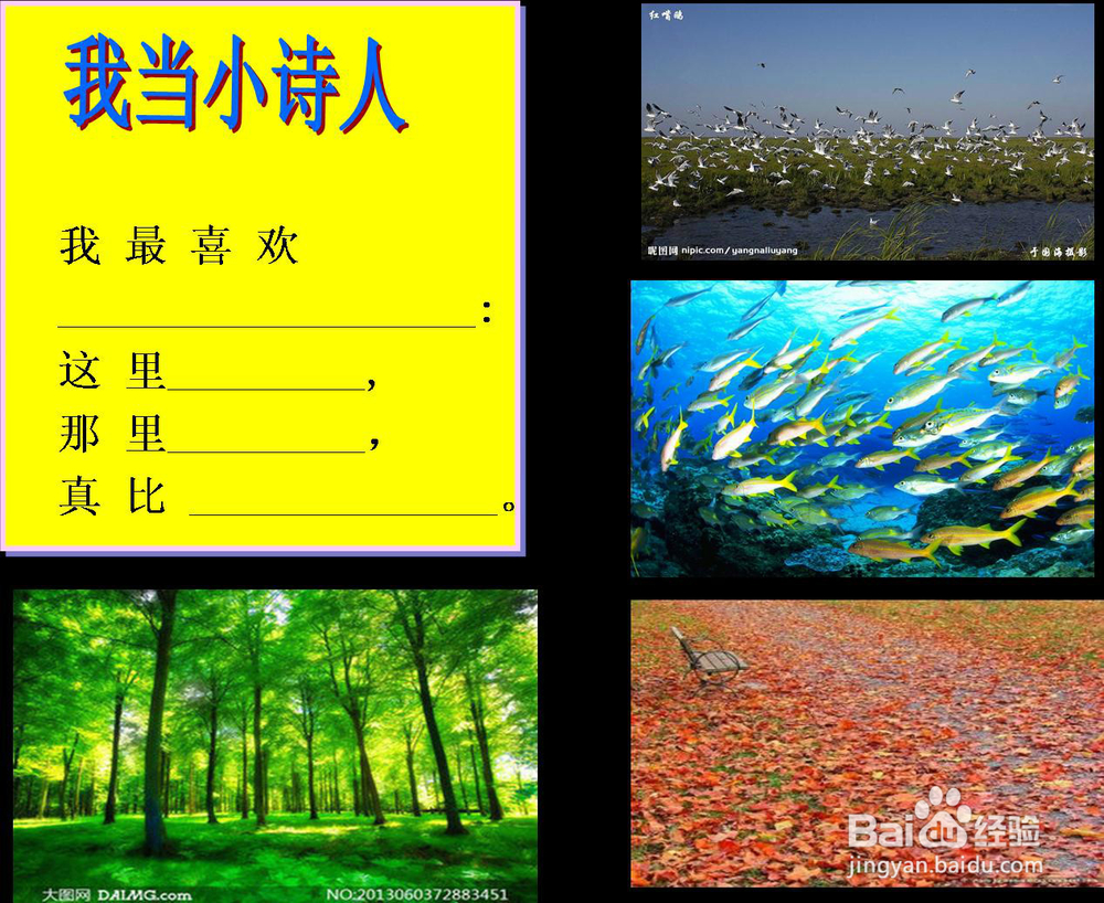 《鲜花和星星》课件制作—如何进行课件细节处理