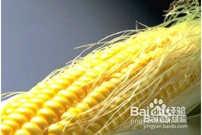 蚂蜂网告诉你冬季哪些美食让您快速减肥