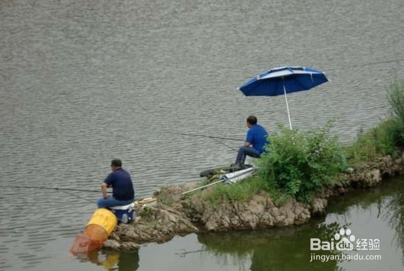 野钓怎样找好钓点?野钓如何钓到更多的鱼?