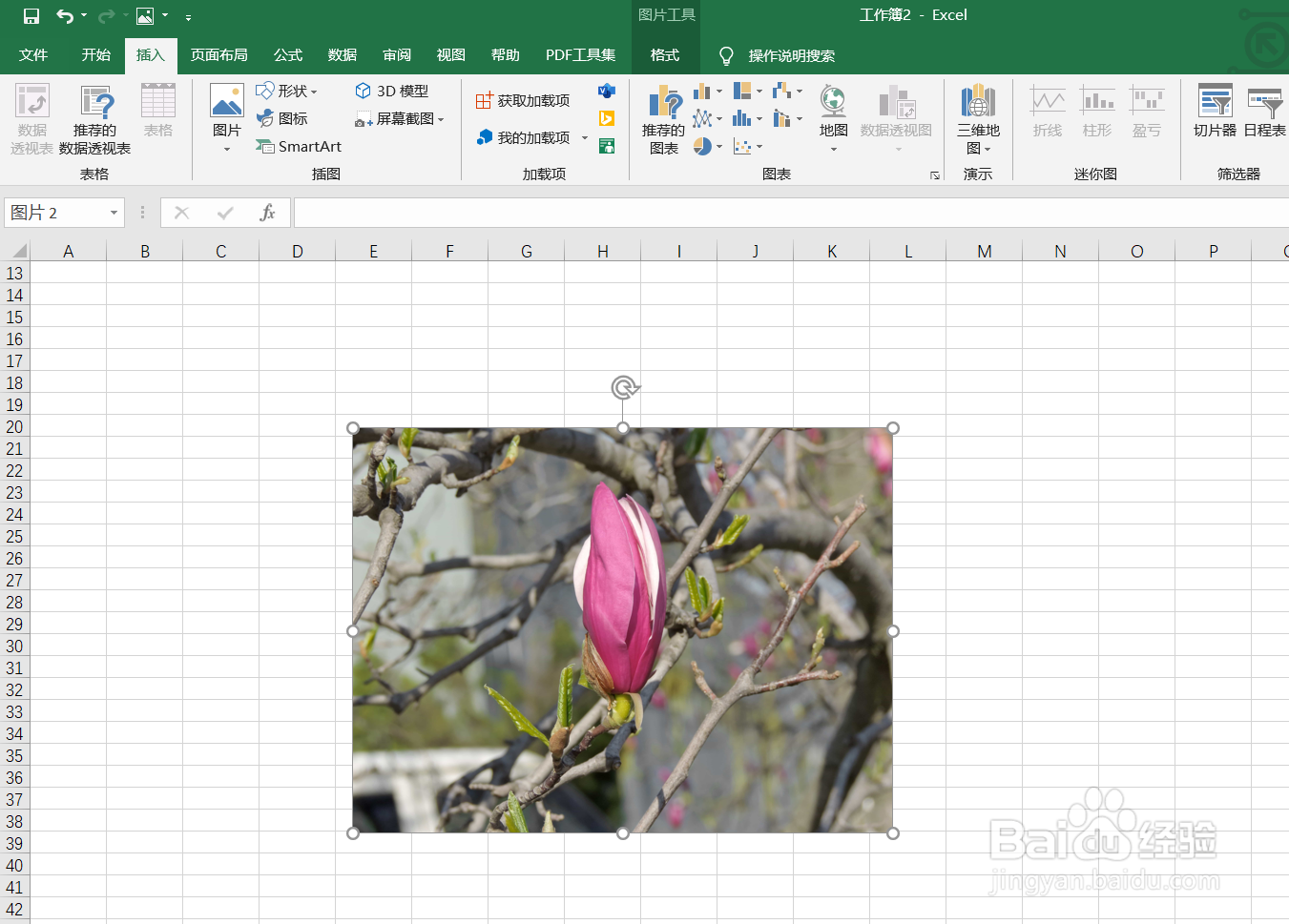 如何在excel表格里插入图片？