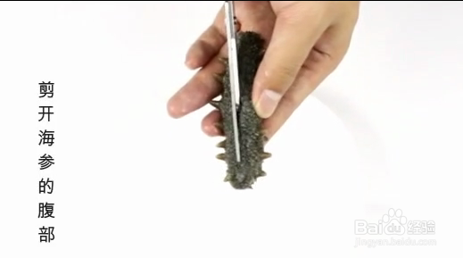 最好的海参泡发方法